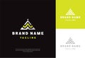 Modern Triangular Logo Design â Green, White & Gray Variations with Editable Brand Name and Tagline Royalty Free Stock Photo