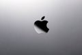 the logo of Apple, an innovative company from Cupertino on the cover of a laptop or a new iPhone color gray space