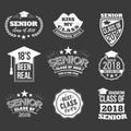 Logo badges and cute funny labels for graduating senior class 2018 Royalty Free Stock Photo