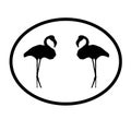 Logo Banner Image Flamingo Birds Pair in Oval Shape on White Background