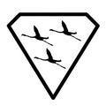 Logo Banner Image Flying Flamingo Birds in Diamond Shape on White Background