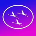 Logo Banner Image Flying Flamingo Birds in Oval Shape on Blue Magenta Background