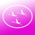 Logo Banner Image Flying Flamingo Birds in Oval Shape on Pink Background