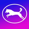 Logo Banner Image Jumping Dog in Oval Shape on Blue Magenta Background