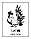 Logo of a bantam. It is standing eps 10