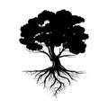 Logo of a black life tree with roots and leaves. Vector illustration icon isolated on white background Royalty Free Stock Photo