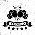 Logo for a boxing