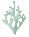 Logo bush of lichen, deer moss, Icelandic moss in two colors