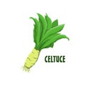 Logo Celtuce Vector Farm Design