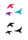 Logo colorful birds swallows silhouette flying. Vector illustration