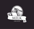 Logo with Cow silhouette in a Cameo with Ribbons. Cow Vector Illustration. Cow illustration in Vintage Engraving Style. Grunge Lab