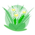 Logo of the daisies