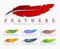 Logo design with bird feather. Abstract polygonal element Royalty Free Stock Photo