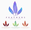 Logo design with bird feather. Abstract polygonal element Royalty Free Stock Photo