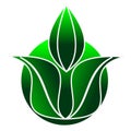 logo design with pictures green leaf and circle