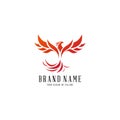 Design phoenix vector template white background