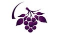 Logo design template, branch of grape, generative AI.