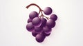 Logo design template, branch of grape, generative AI.