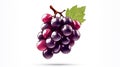 Logo design template, branch of grape, generative AI.