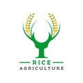 Logo design Y letter rice farm