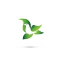 Logo dove bird leaf flying vector image design