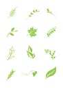 Logo elements leafs -