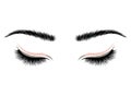 Logo eyelashes. The eyes of the girl with makeup. Vector illustration of eyebrows and eyelashes. Figure for a beauty Royalty Free Stock Photo