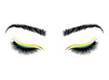 Logo eyelashes. The eyes of the girl with makeup. Vector illustration of eyebrows and eyelashes. Figure for a beauty