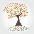 Logo fall tree symbol icon vector Royalty Free Stock Photo
