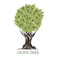 Logo in the form of a stylized olive tree