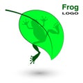 Logo with a frog on a bright green leaf.