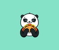 The logo funny panda eats taco. Cute animal, cartoon character, food logotype