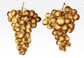 Logo Gold grapes. Wine grapes icon. collectionn two gold icon. Gold fruits. Abstract illustration. 3D vector Royalty Free Stock Photo