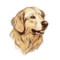 Logo Golden Retriever Dog On Isolated Tansparent Background, Png. Generative AI