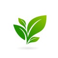 Logo of green leaf ecology nature element vector icon. Royalty Free Stock Photo