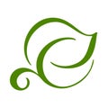 Logo of green leaf of tea. Ecology nature element vector icon symbol. Eco vegan bio calligraphy hand drawn illustration Royalty Free Stock Photo
