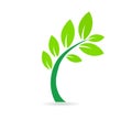 Logo Green Tree vector Royalty Free Stock Photo
