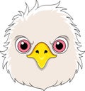 logo of the head of an eagle with a ferocious face Royalty Free Stock Photo