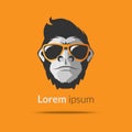 Logo head of a gorilla monkey in glasses on a bright orange background. Vector