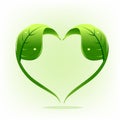 Logo healthy nature leafs heart shape vector design