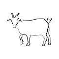 Logo icon of Grazing goat full length