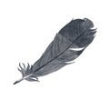 Logo ilustration: A chicken feather that symbolizes flying to chase dream as high the sky