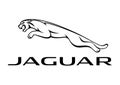 Logo Jaguar Royalty Free Stock Photo