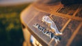 The logo of Jaguar luxury automotive cars with a lot of dust on it.