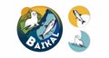 Logo. Lake Baikal. Where seals live and many seals live.