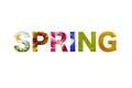 Logo lettering spring word - isolated over white