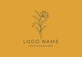 Logo Line Flower and Branch Leaf, Boho, botanical