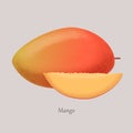 Logo Mango exotic juicy fruit whole and half.