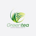 Green Tea Leaf Branding and Garden Nursery Logo