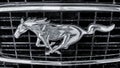 Logo Mustang monochrome Royalty Free Stock Photo